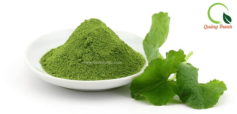 Bột rau má là sản phẩm vô cùng tiện lợi, giúp tạo nên nhiều thức uống thơm ngon